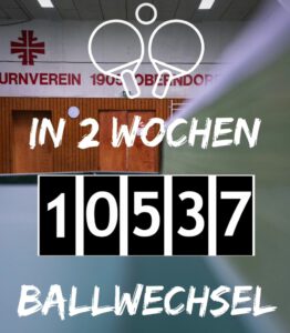 Mehr über den Artikel erfahren 10.537 Ballwechsel in 2 Wochen