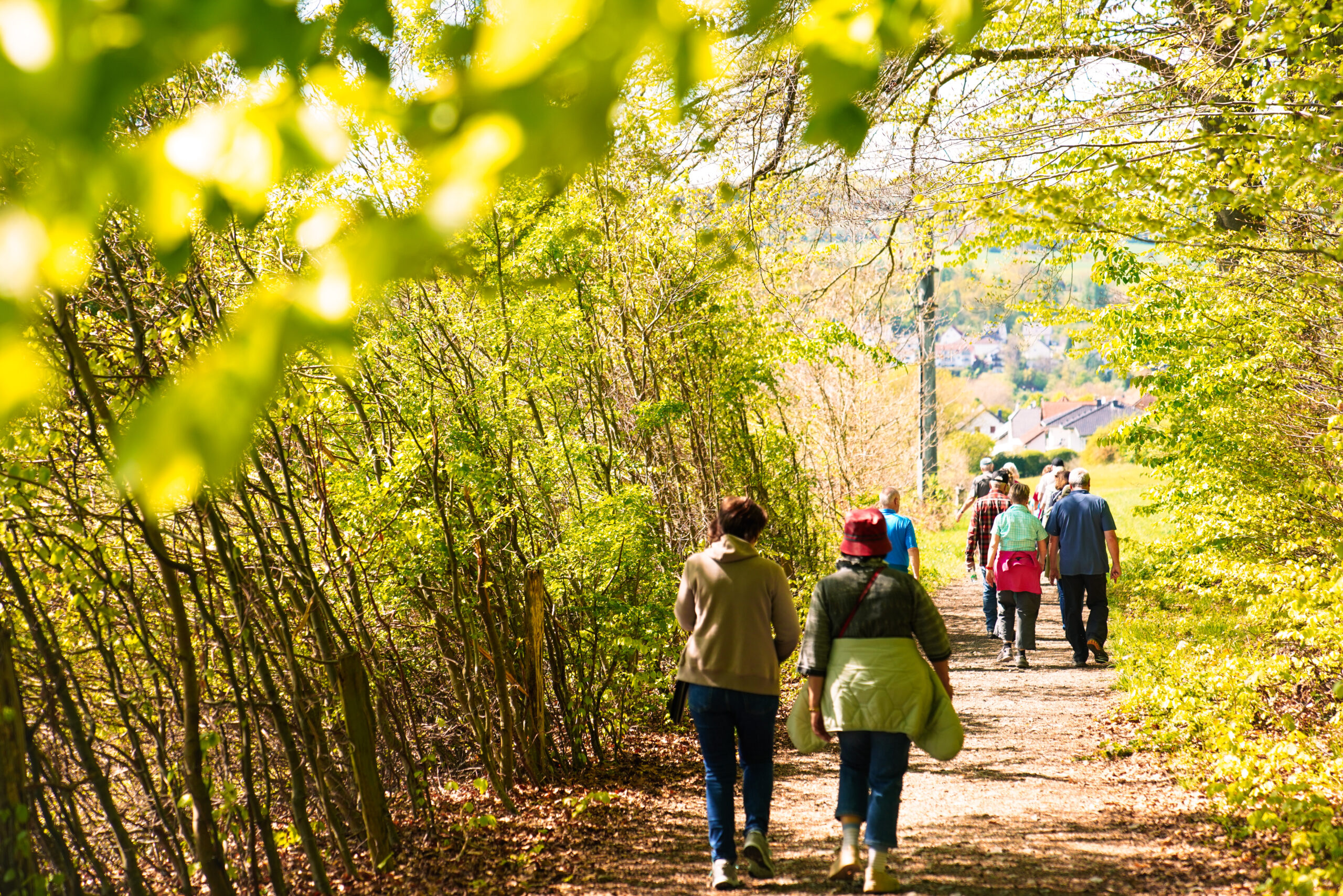 Wandertag2025-04938