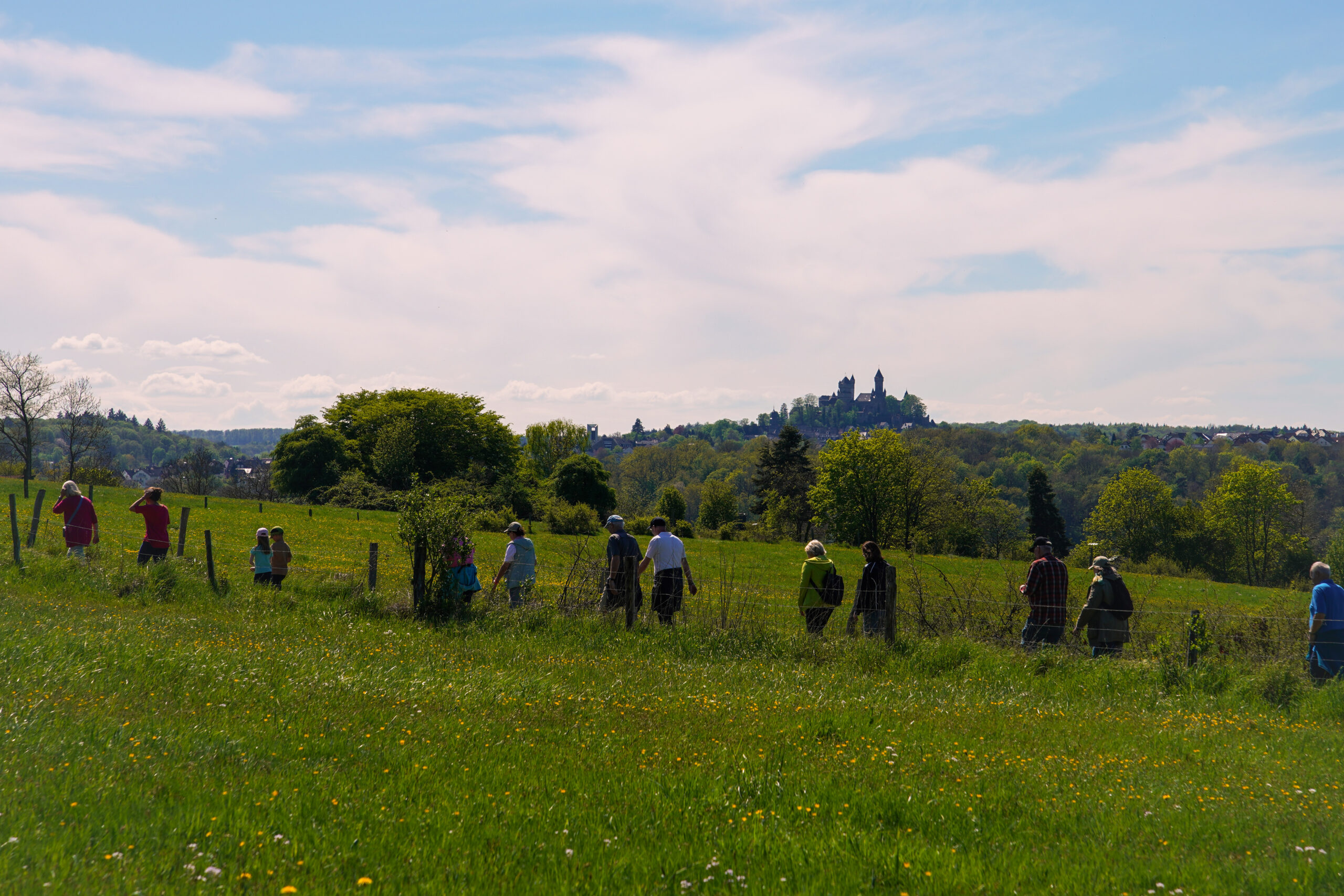 Wandertag2025-04948