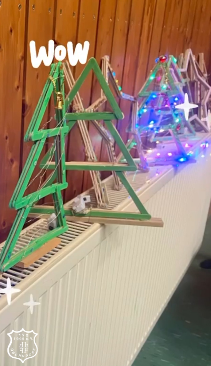 Mehr über den Artikel erfahren Weihnachtsfeier mit Übernachtung beim Kunstturnen