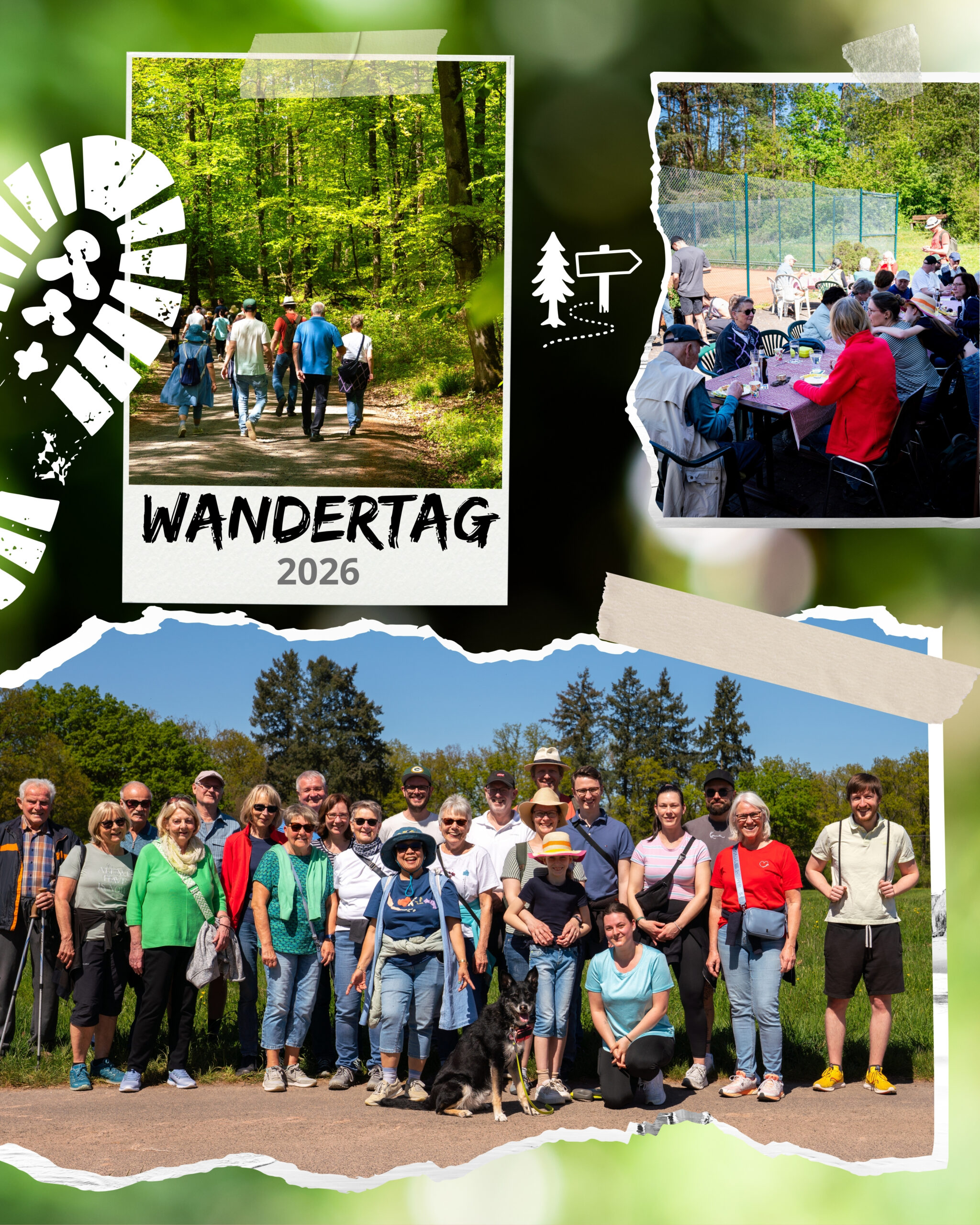 Mehr über den Artikel erfahren TVO Wanderung 2026 – Sonne, Bewegung und gute Gespräche